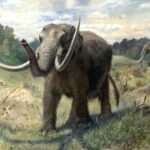 Zdjęcie przedstawiające Mastodon. InterpretacjePiosenek.pl - Największa baza interpretacji piosenek w Polsce.