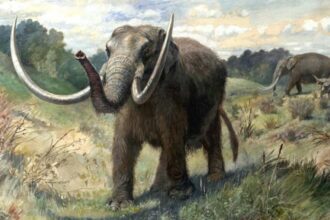 Zdjęcie przedstawiające Mastodon. InterpretacjePiosenek.pl - Największa baza interpretacji piosenek w Polsce.