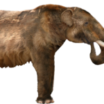 Zdjęcie przedstawiające Mastodon. InterpretacjePiosenek.pl - Największa baza interpretacji piosenek w Polsce.