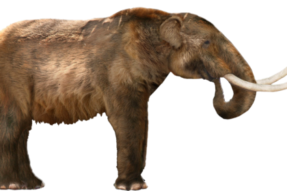 Zdjęcie przedstawiające Mastodon. InterpretacjePiosenek.pl - Największa baza interpretacji piosenek w Polsce.