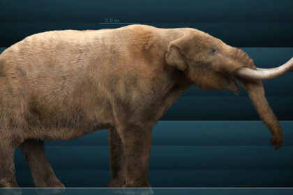 Zdjęcie przedstawiające Mastodon. InterpretacjePiosenek.pl - Największa baza interpretacji piosenek w Polsce.